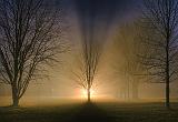 Foggy Night_22211-4